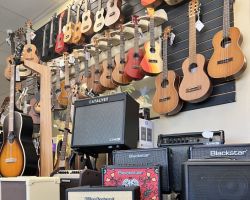 Musicality- Music Store And Studios