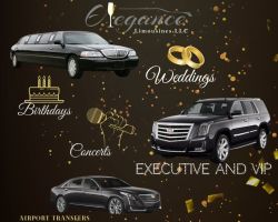 Elegance Limousine LLC