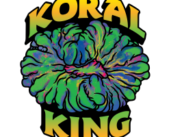 Koral King