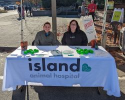 Island Animal Hospital