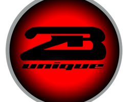 2B Unique Web Solutions