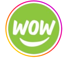 Wow 1 Day Painting
