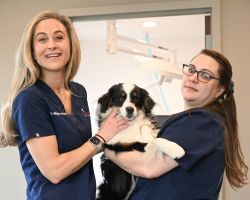 Symbios Animal Health