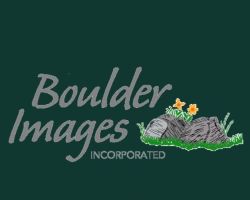 Boulder Images Inc