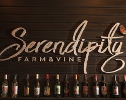 Serendipity Farm & Vine