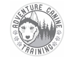 Adventure Canine Training