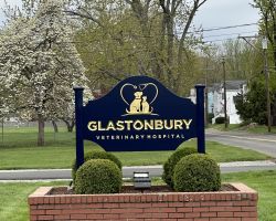 Glastonbury Veterinary Hospital