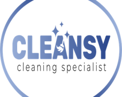 Cleansy Cleaning Specialist