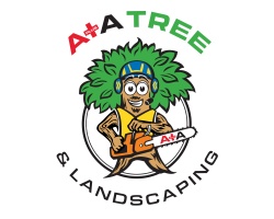 A + A Tree & Landscaping