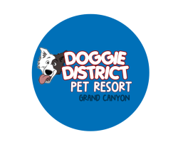 Doggie District - Grand Canyon