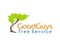 Good Guys Tree Service Tree Care