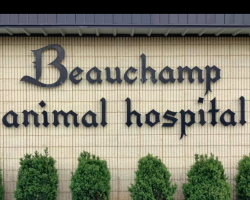 Beauchamp Animal Hospital