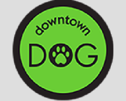 Downtown Dog Of Aiken