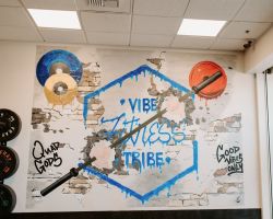 Vibe Tribe Fitness