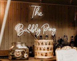 The Bubbly Pony