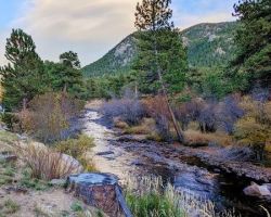 Elizabeth Lanning Associate RE/MAX Mountain Brokers