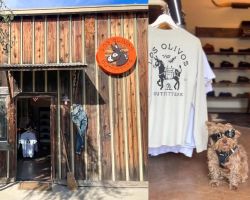 Los Olivos Outfitters