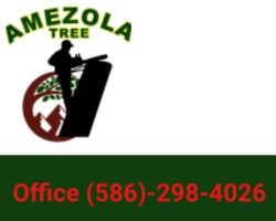 Amezola Tree Service