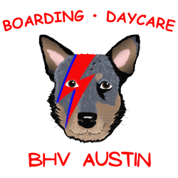 BHV Austin and BHV Austin TOO