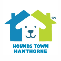 Pawtastic Academy Hawthorne
