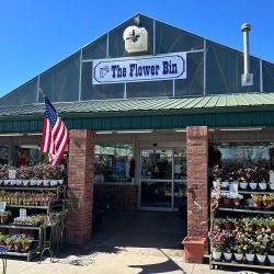 The Flower Bin