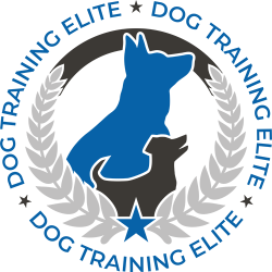 Dog Training Elite Omaha