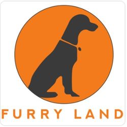 Furryland Knoxville