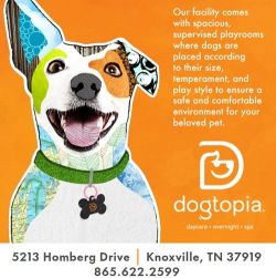 Dogtopia of Bearden-Knoxville