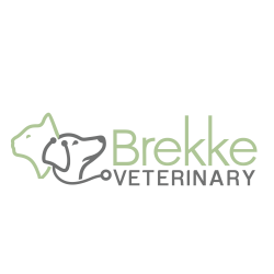 Brekke Veterinary Clinic