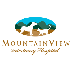 MountainView Veterinary Hospital