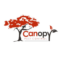 Canopy Pest Control
