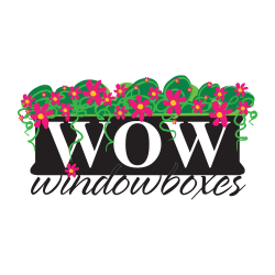 WOW Windowboxes
