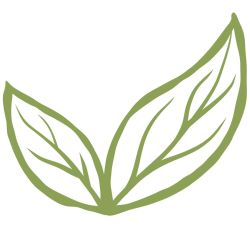 Walnut Creek Eyecare
