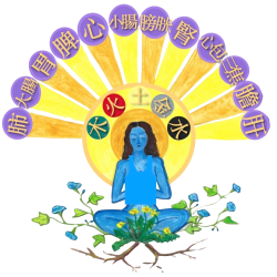 Ancient Roots Acupuncture PLLC