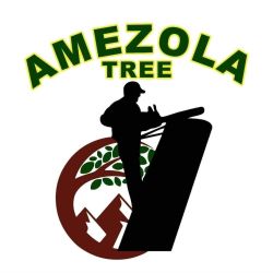 Amezola Tree Service