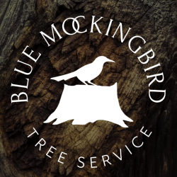 Blue Mockingbird Tree Service