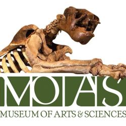Museum of Arts & Sciences