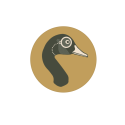 Saint Goose