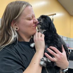 Pet Evolution - Grooming | Self-Wash | Healthy Food