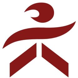 Return to Play Institute, LLC
