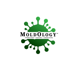 Moldology