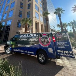 Bulldog Carpet Cleaning