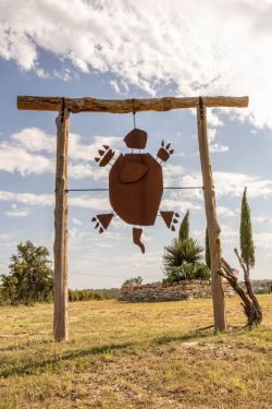 Turtle Creek Vineyard