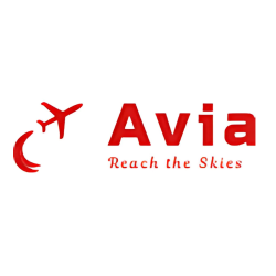 AVIA FLIGHT ACADEMY LLC