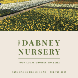 Dabney Nursery