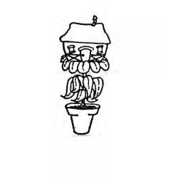 The Plant Haus