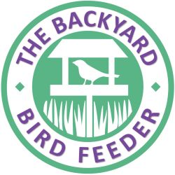 The Backyard Bird Feeder