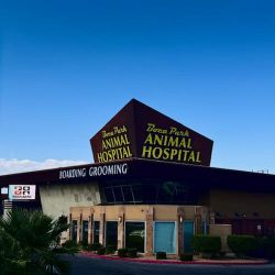 Boca Park Animal Hospital