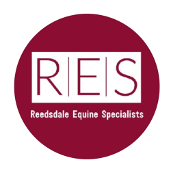 Reedsdale Equine Specialists