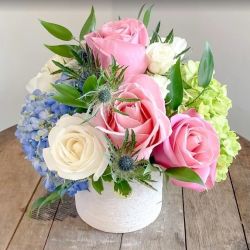 Blume Haus Fine Flowers